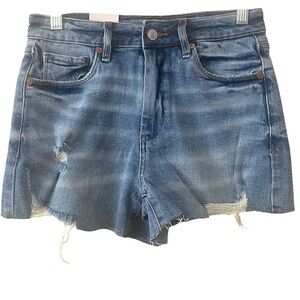BlankNYC The Reeve High Rise Ribcage Short
